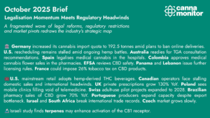 october 2025 brief